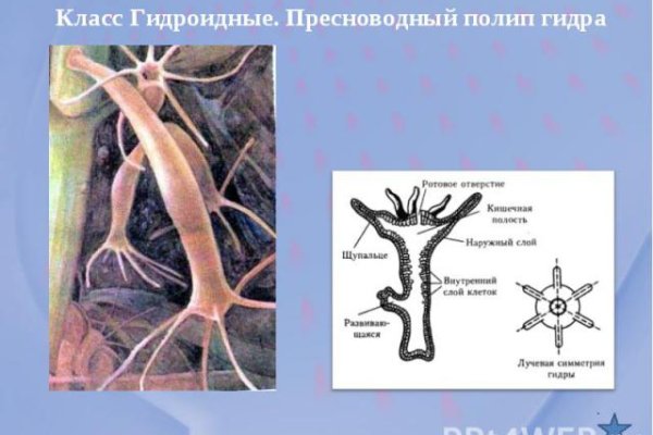 Кракен с айфона