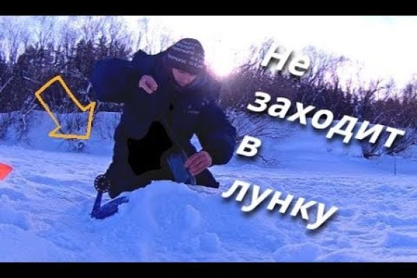 Что за приложение кракен