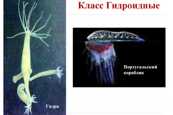 Кракен как зайти через тор браузер