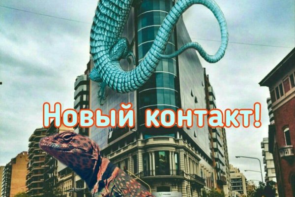 Не могу зайти в кракен