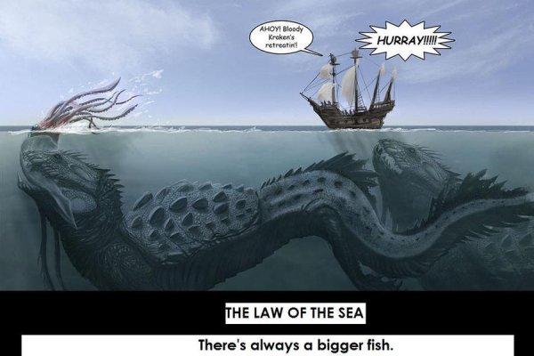 Kraken 20at net