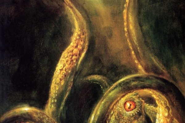 Kraken настоящая ссылка