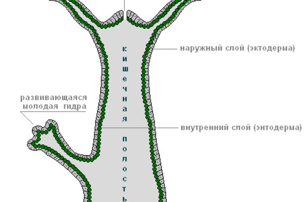 Кракен ссылка купить соли