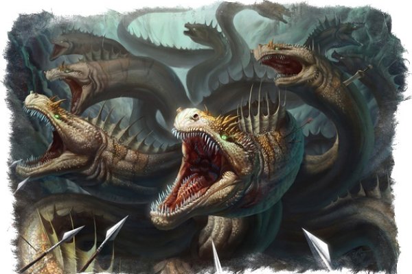 Kraken19 at