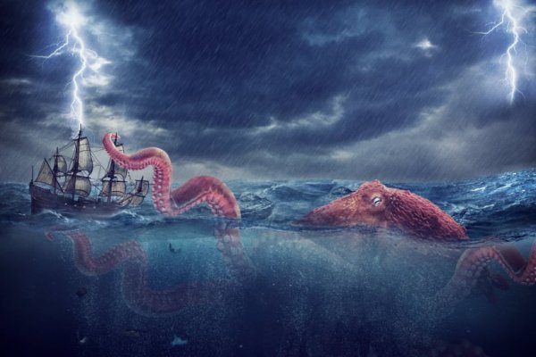 Kraken kraken dark link
